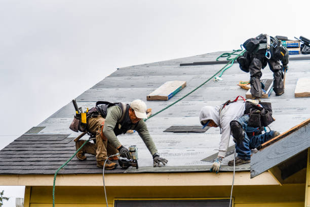 Professional Gutter Installation technician working in Lakeland, MI